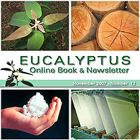 Eucalyptus Online Book and Newsletter, by Celso Foelkel / Eucalyptus Wisdom from Brazil / Boletín Online Eucalipto, por Celso Foelkel / Sabiduría eucalíptica desde Brasil / Grau Celsius / Celsius Degree