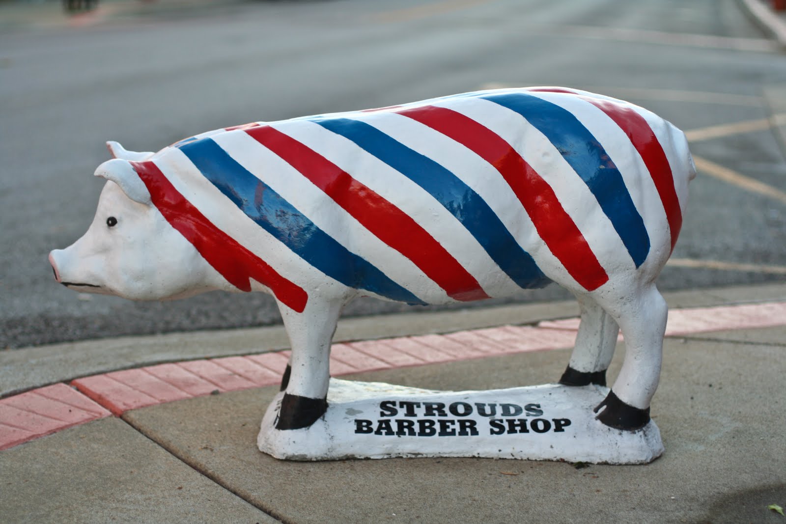 Tom Hughes Realty Cadiz Pigs