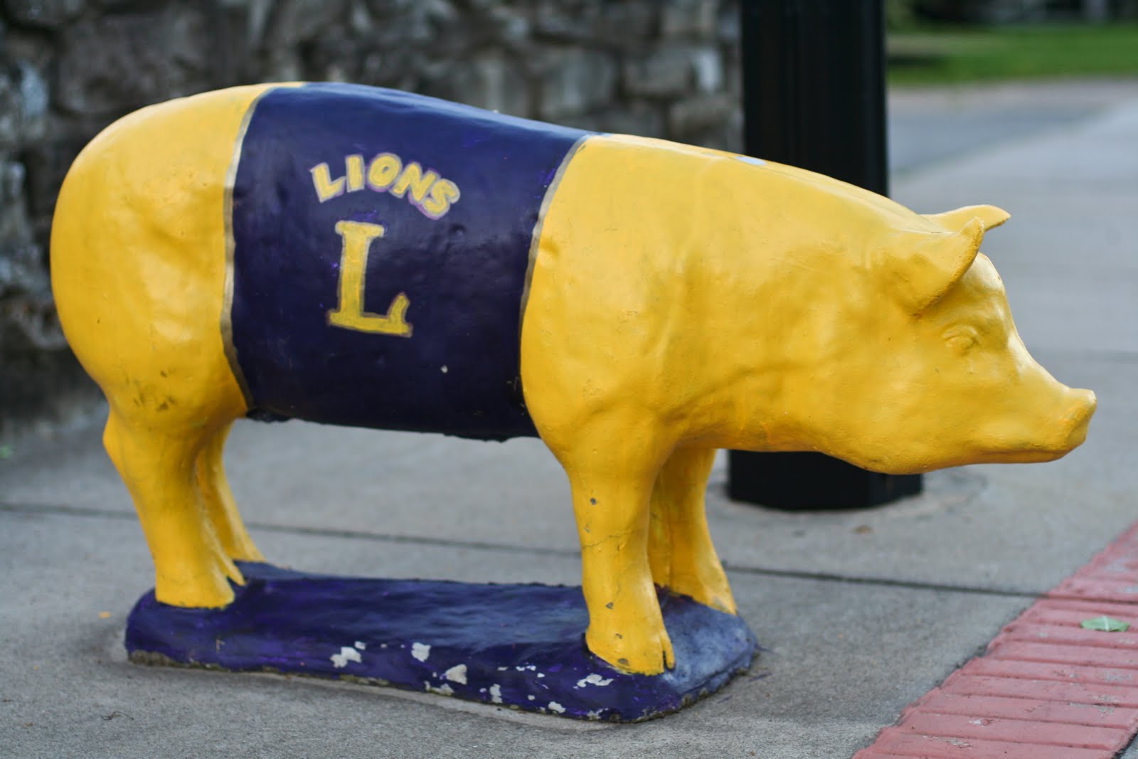 Tom Hughes Realty Cadiz Pigs