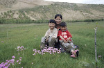 Families who are effected by the destruction of the grasslands.