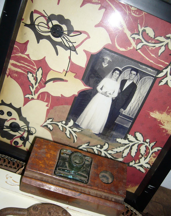 momentos registrados