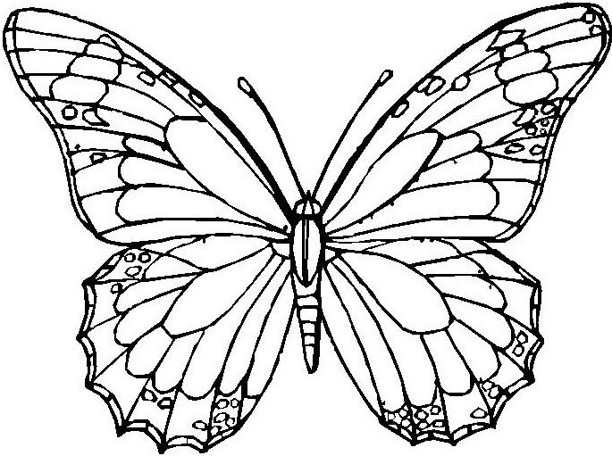 Mariposa Coloring Pages | Coloring Pages Gallery