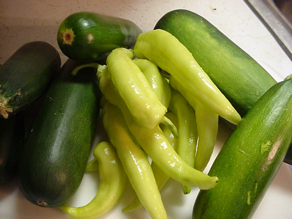 COUNTRY WHISPERS: Freezing Zucchini