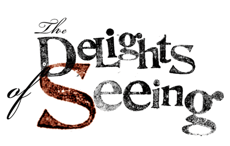 The Delights of Seeing