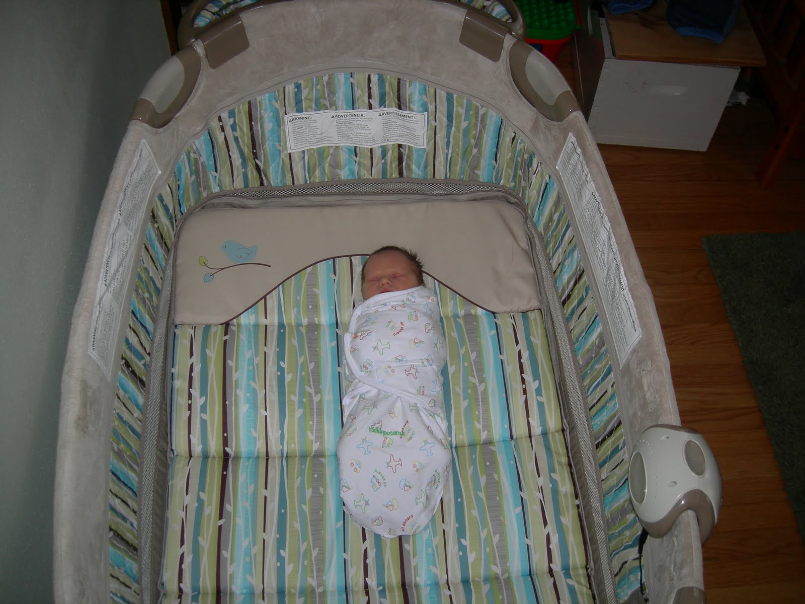 [DSCN4284.JPG]