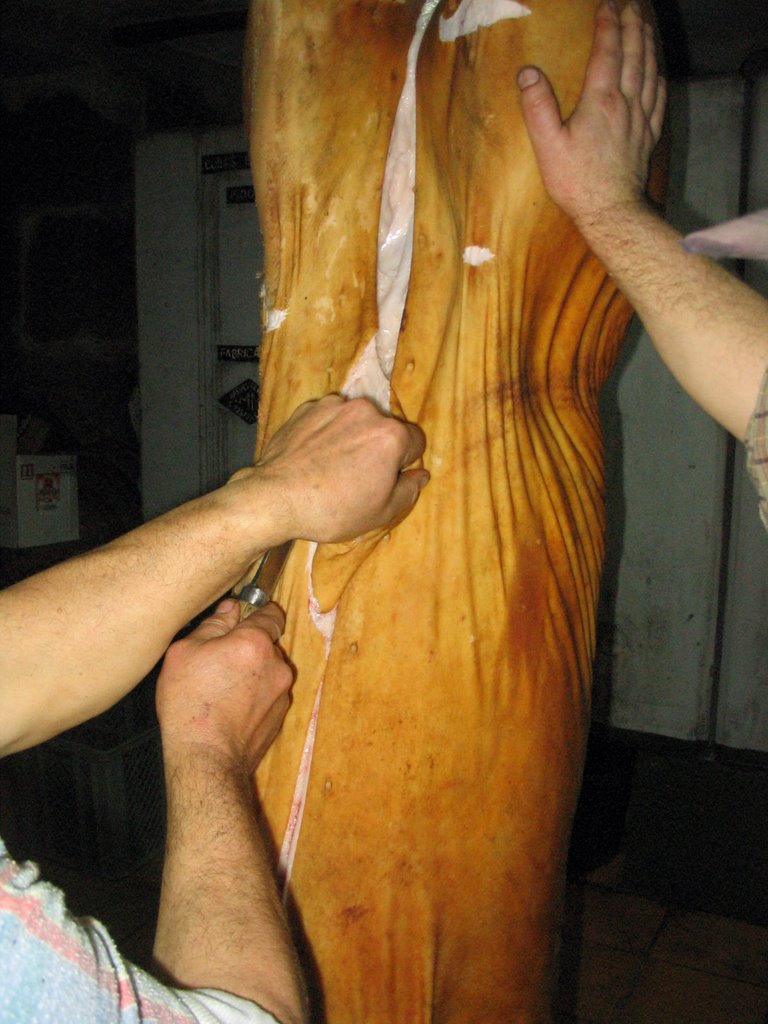 [matança+porco.jpg]