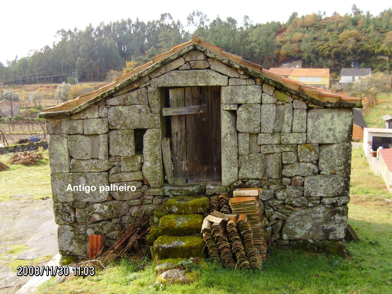 [Photo+Editor_HPIM4926.JPG]