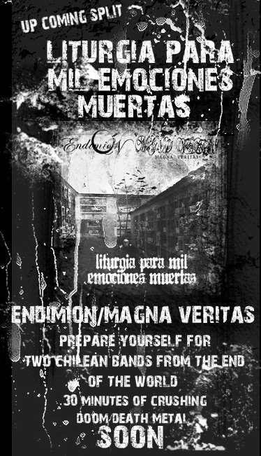 Endimion / magna veritas split