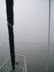 Entrance to Savannah River