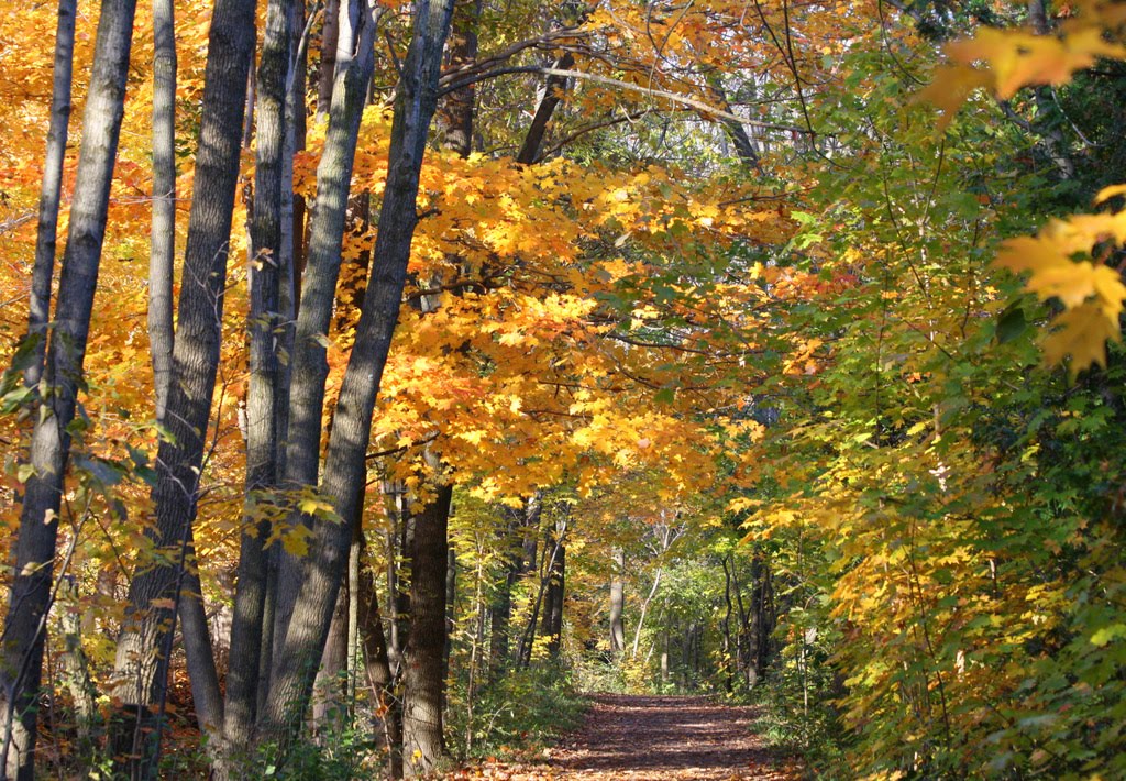 The Millrace, St Jacobs, Ontario Travels With Birds
