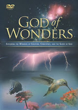 The God of Wonders