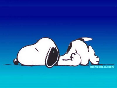 [sleeping-snoopy.jpg]