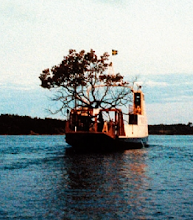 árbol en barco