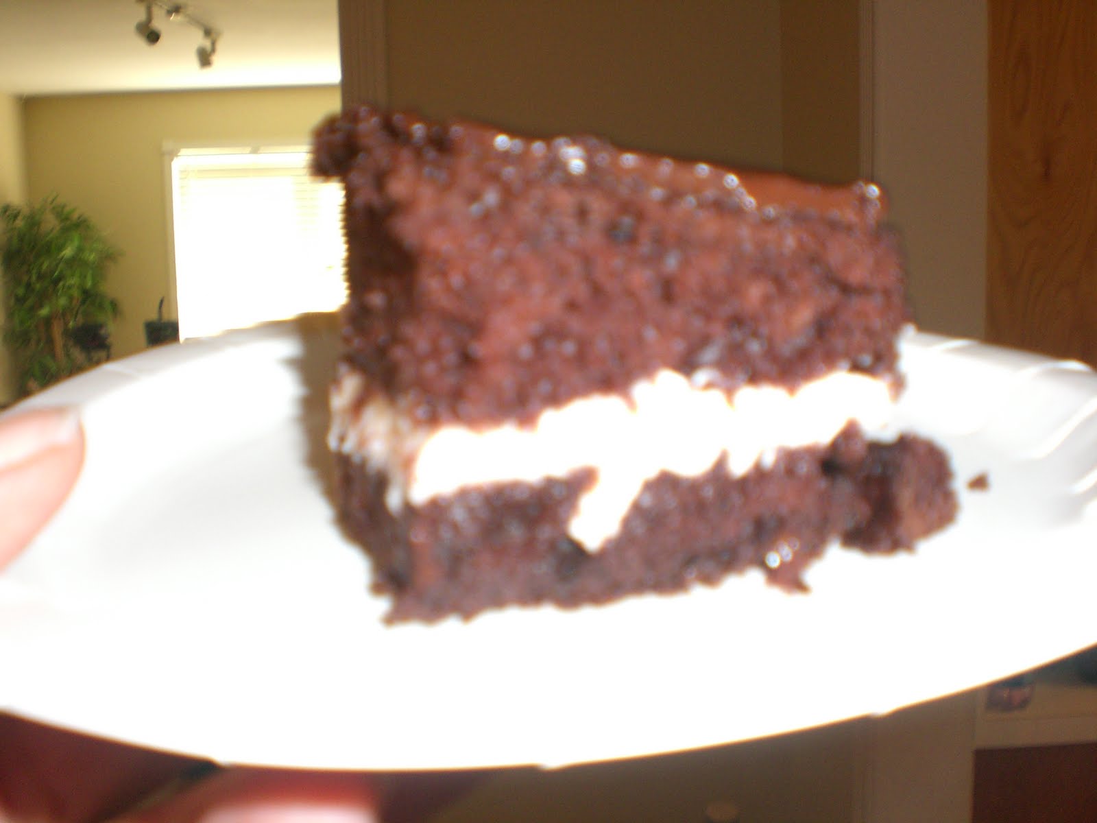 Suzy cakes suzie nostalgic comeback