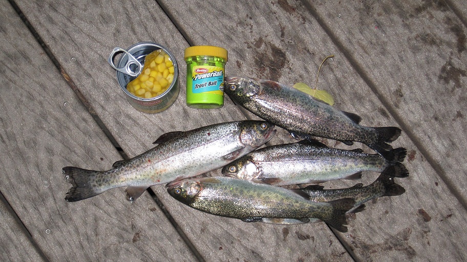 City Of Allen Fishing Powerbait Lands Four Trout, Corn Gets One....