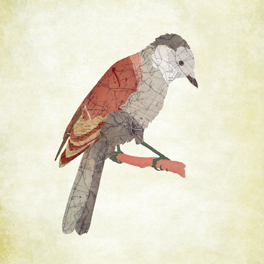 AmAzInG Map Collages AnImAlS