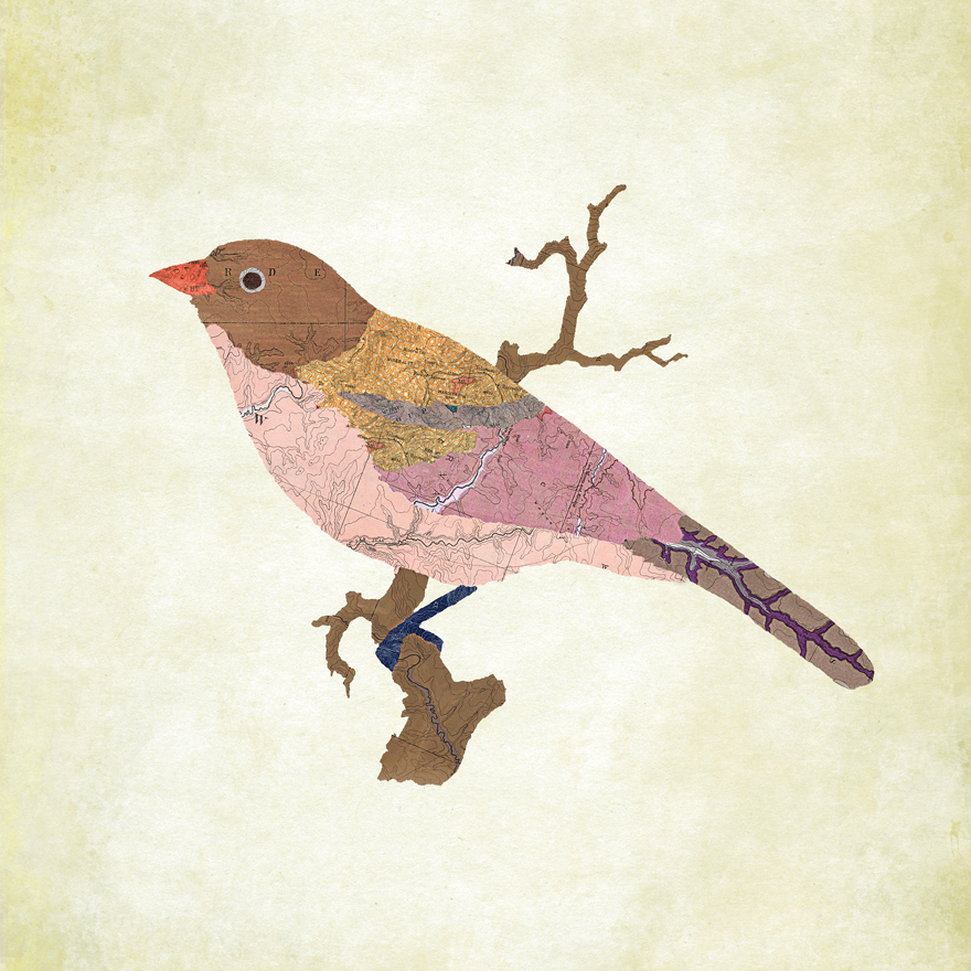 AmAzInG Map Collages AnImAlS