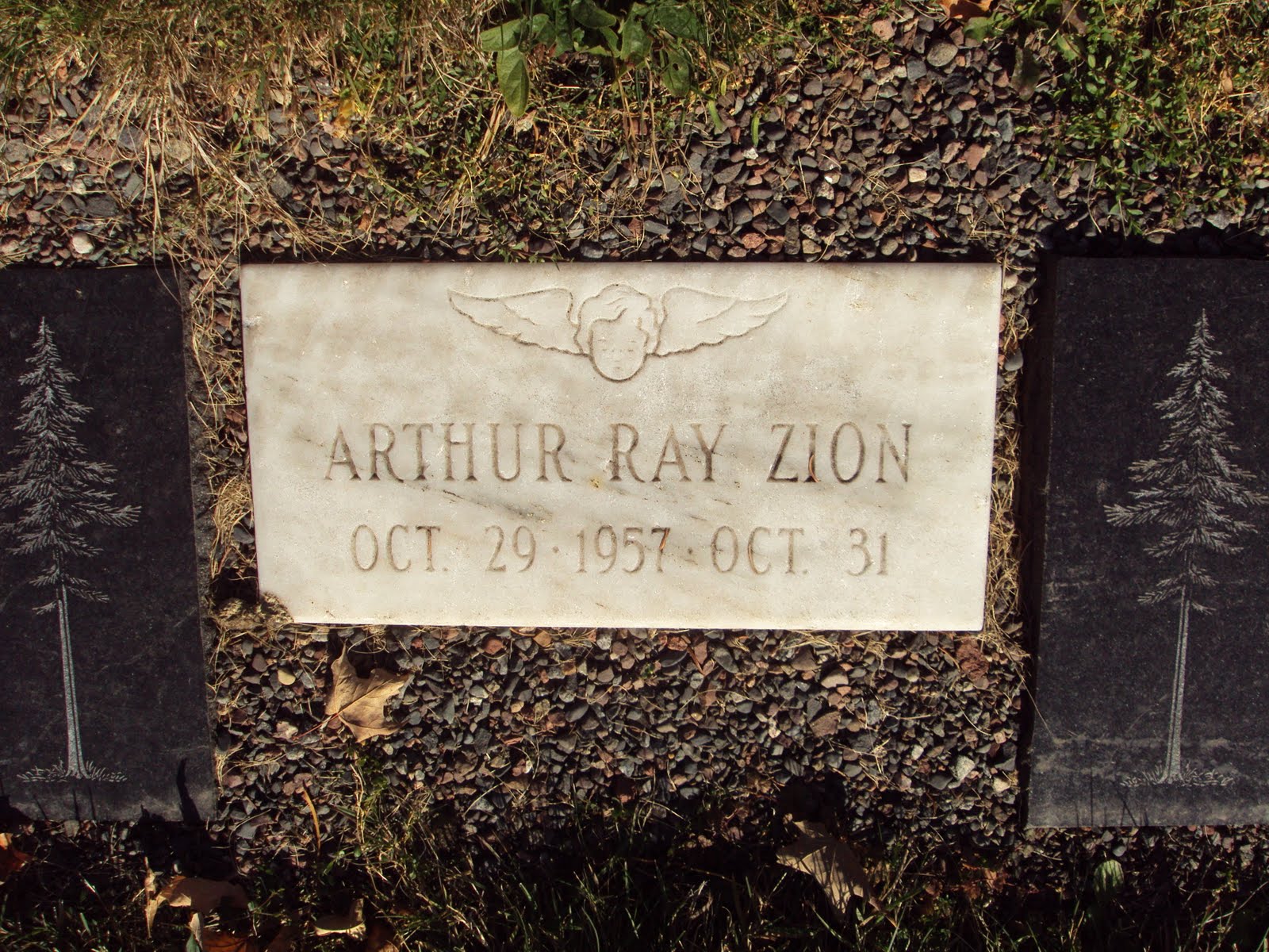 MyFamilyRootsRunDeep Tombstone Tuesday Forest Hill Cemetery Duluth