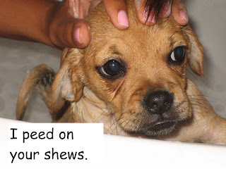 The Brown Cow: Breaking Bad News With Baby Animals