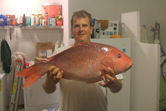 Snapper
