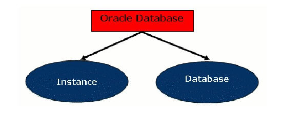 CTMS TED: Oracle Database Basic Architecture