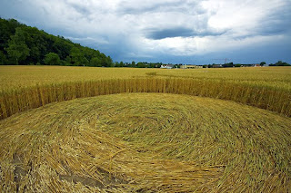 crop circle julia set triple 2010 july switzerland 8th inside ground