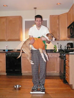 how to weigh your dog how to weigh your dog