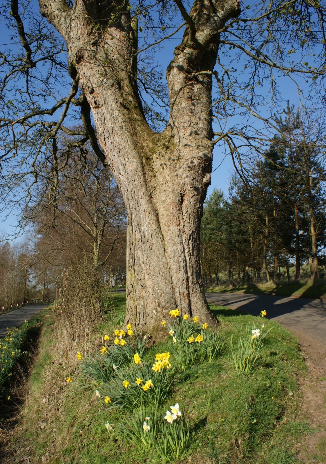 Tour Scotland: April 16th Photograph Rural Scotland
