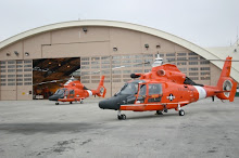 The HH-65C Dolphin