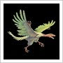 archaeopteryx horribillis