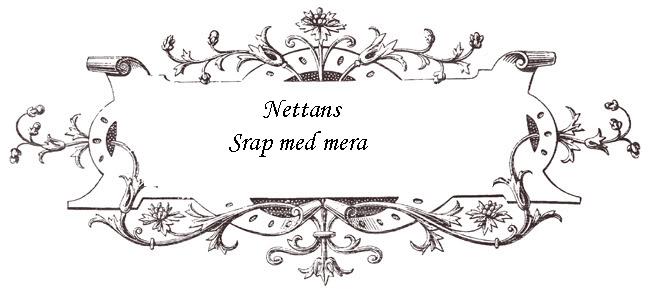 Nettans scrapsida mm