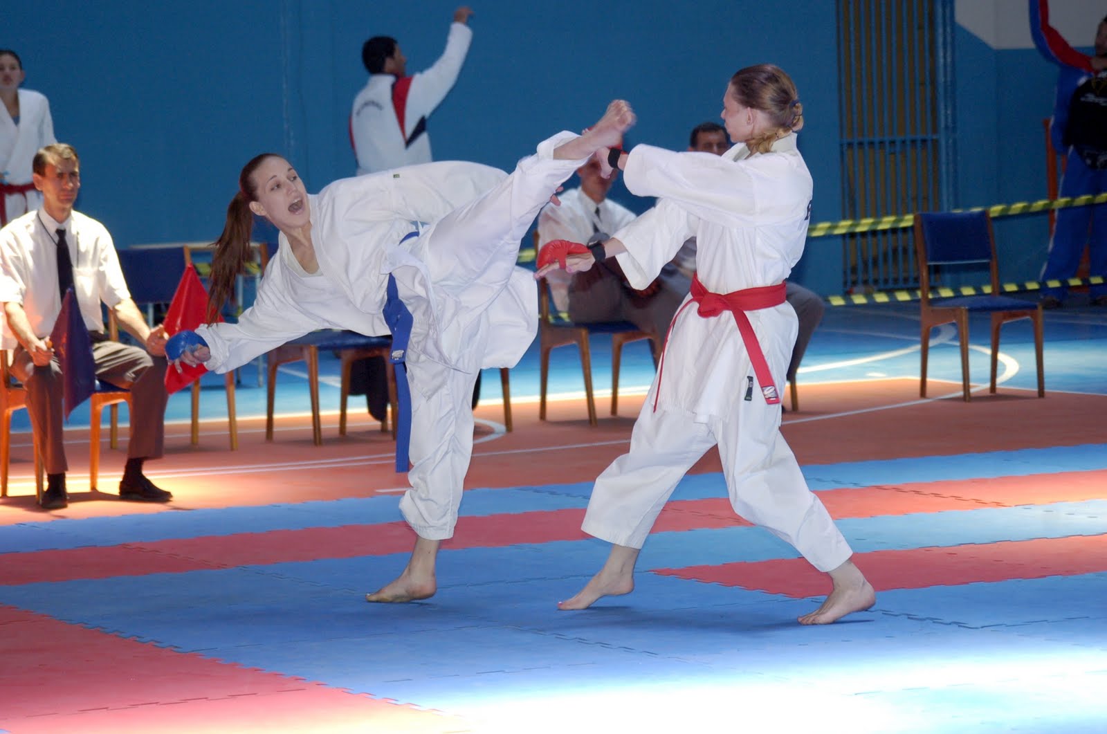 Jornal Karate