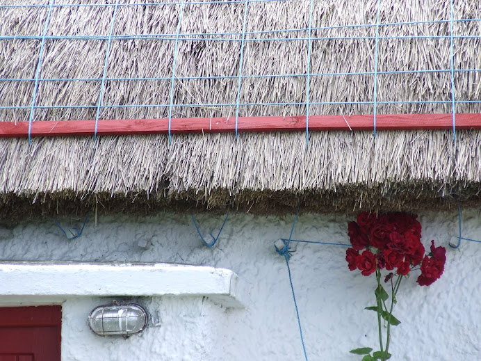 Sayings About Roses. #39;Roses and Thatch- Clonmany, Donegal, Ireland- 2007