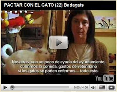 Pactar con el gato