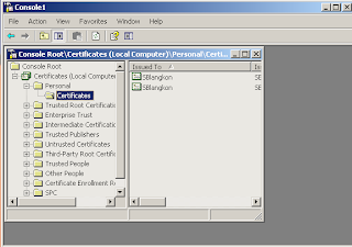 Self Signed Certificate Setting in IIS with OpenSSL (2 of 2)