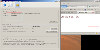 Self Signed Certificate Setting in IIS with OpenSSL (2 of 2)