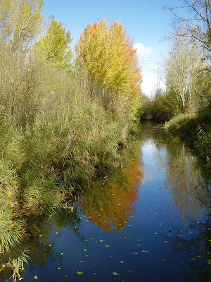 Canal de Castilla desde el 