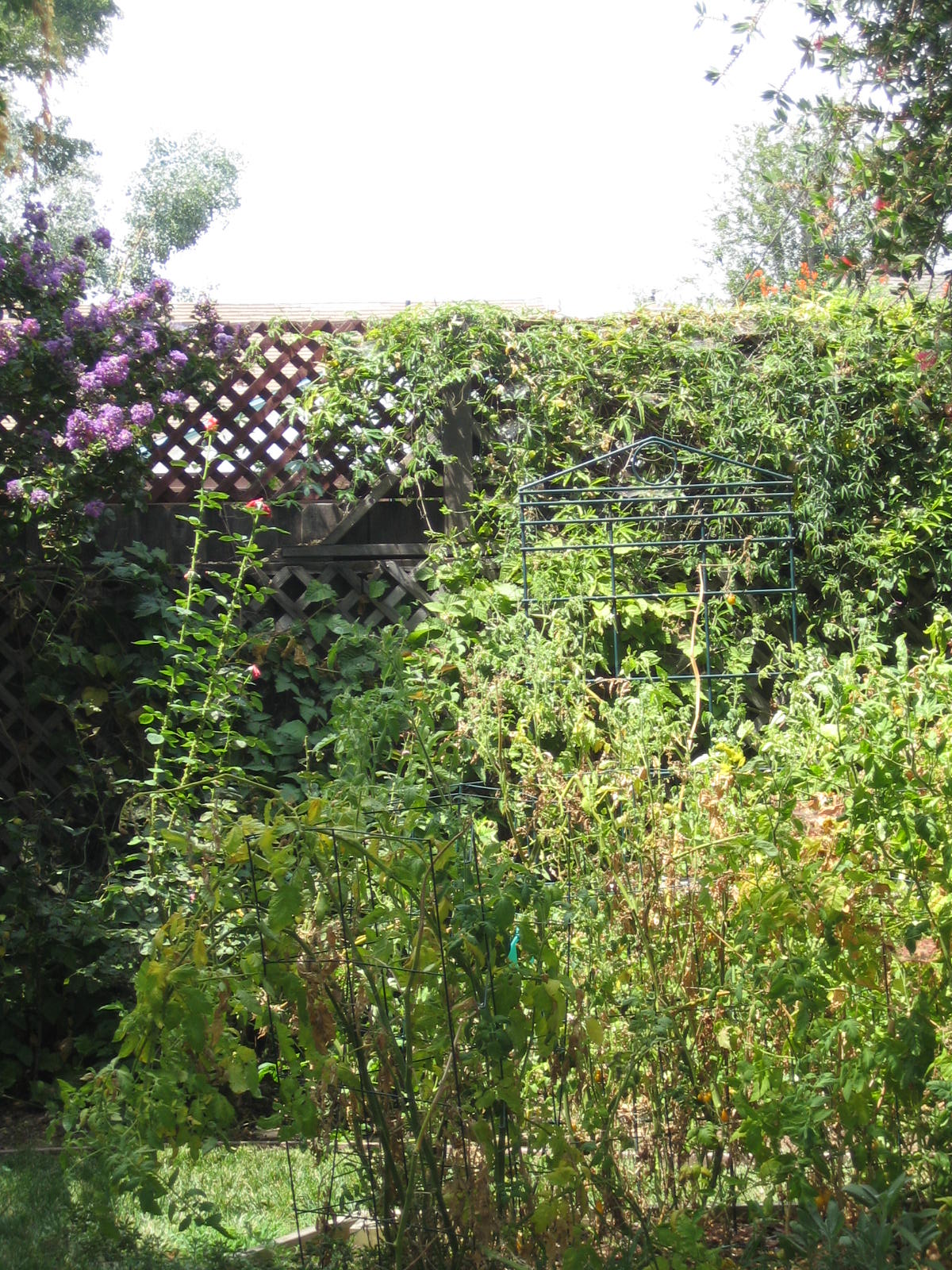 [macro+shots+039.jpg]