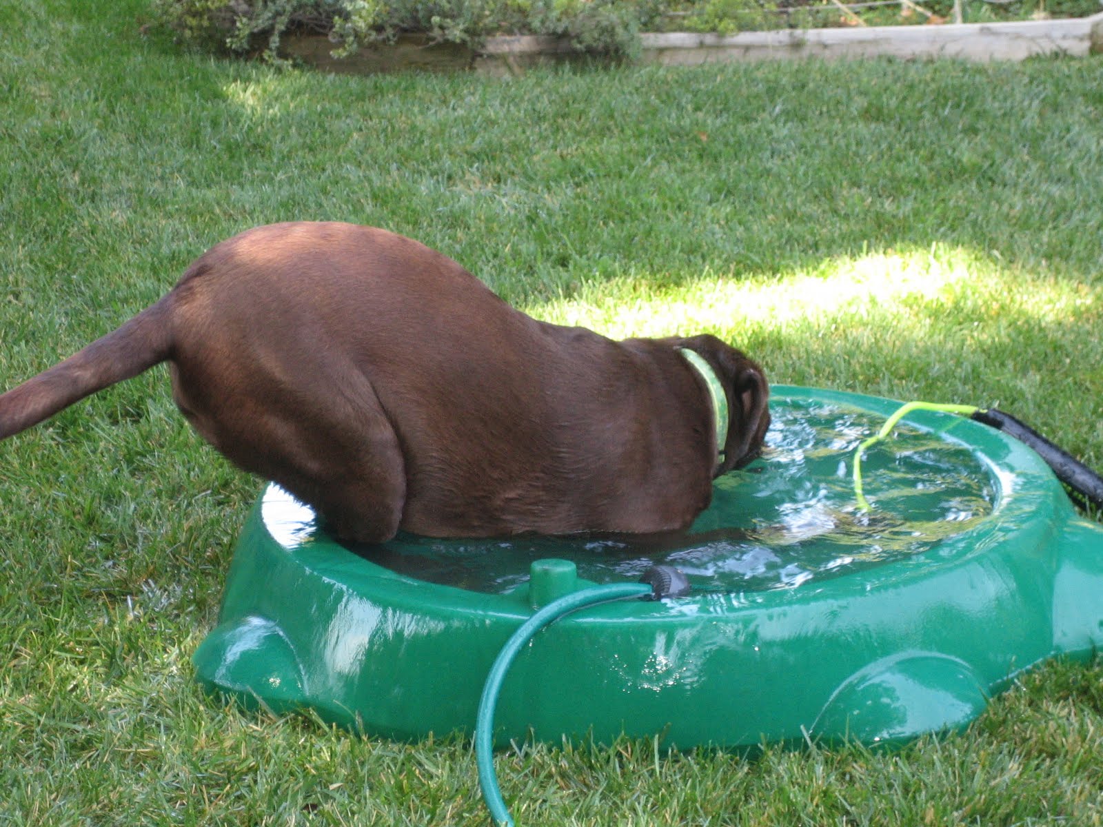 [winery+pictures+001.jpg]