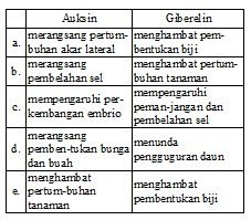 Kelompok Hormon Auksin