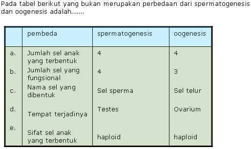 Sel baru yang dihasilkan mempunyai jumlah kromosom sama dengan jumlah kromosom sel induk merupakan c