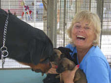 Me at the animal shelter in Bonaire