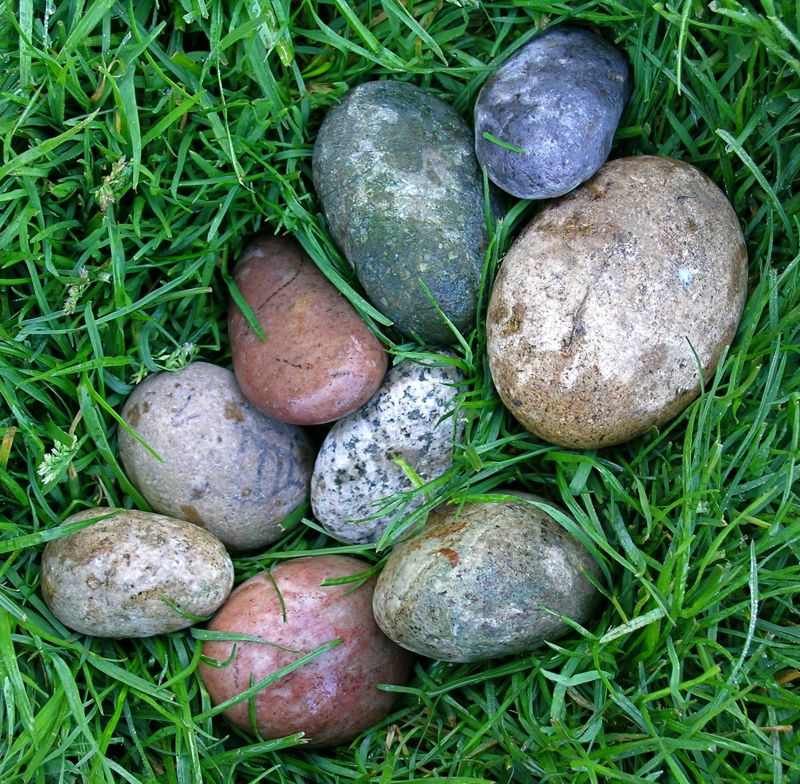 [rock+eggs.jpg]
