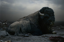 SIMEN JOHAN