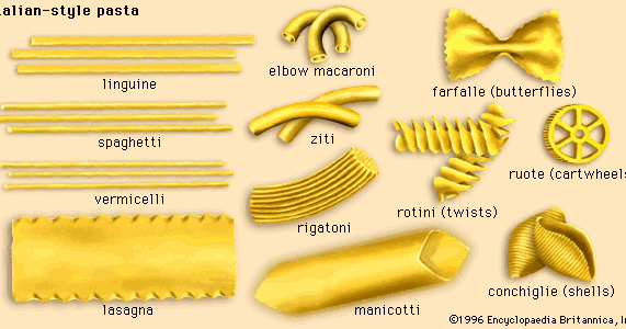 A+life's World [ YOUR LIFE'S Better with Apluslife ]: Pasta types.