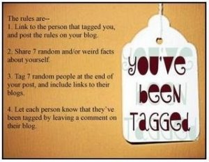 [7bookish-things-pic.jpg]