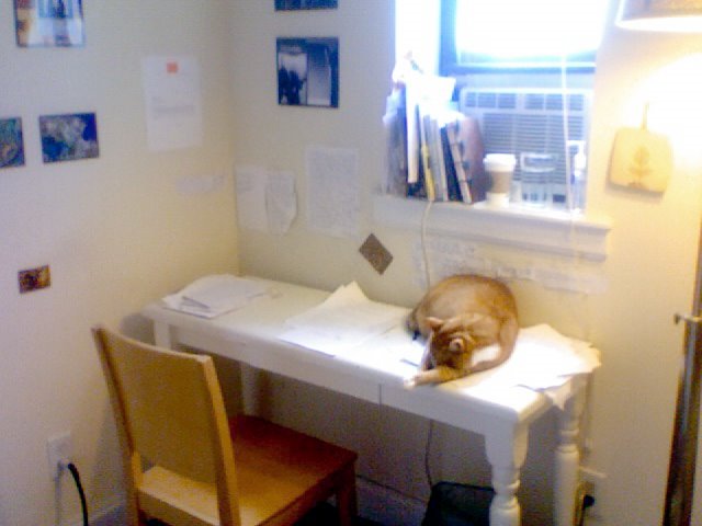 [EmilyStJMandelOffice1.jpg]