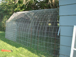 run hoop chicken materials cattle greenhouse panels qv g1 current too