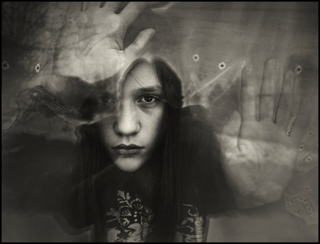 Design Cove: Photography by Raphael Guarino