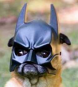 [Google+Reader+(1000+)_1222744104515.jpeg]